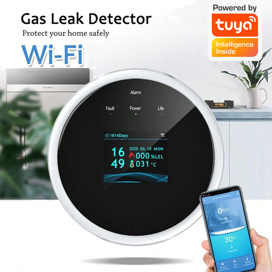 2,4G WiFi Gasalarm-Sensor, Det – Smart Home Security System Bewertung und Preis