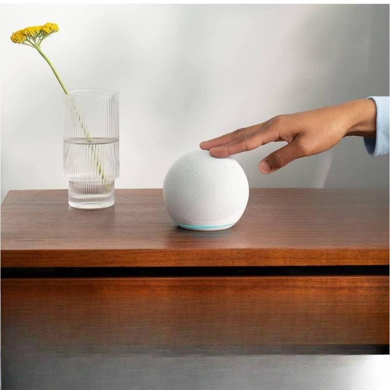 Intelligenter Lautsprecher mit – Smart Home Speaker Bewertung und Preis